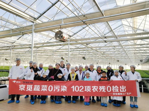 高端蔬菜與農(nóng)業(yè)科普知識兩手抓，京東植物工廠打造健康生活新方式