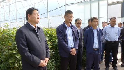 考察學(xué)習(xí)交流 優(yōu)勢互補(bǔ)促發(fā)展，共繪農(nóng)業(yè)園藝服務(wù)新篇章