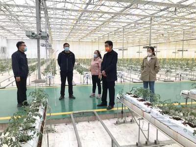 科技興農促發展，服務先行助振興——記山西農業大學專家團隊赴太谷區開展技術指導