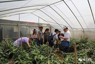 河南農業大學專家團到訪園區，共探現代農業園藝服務新篇章